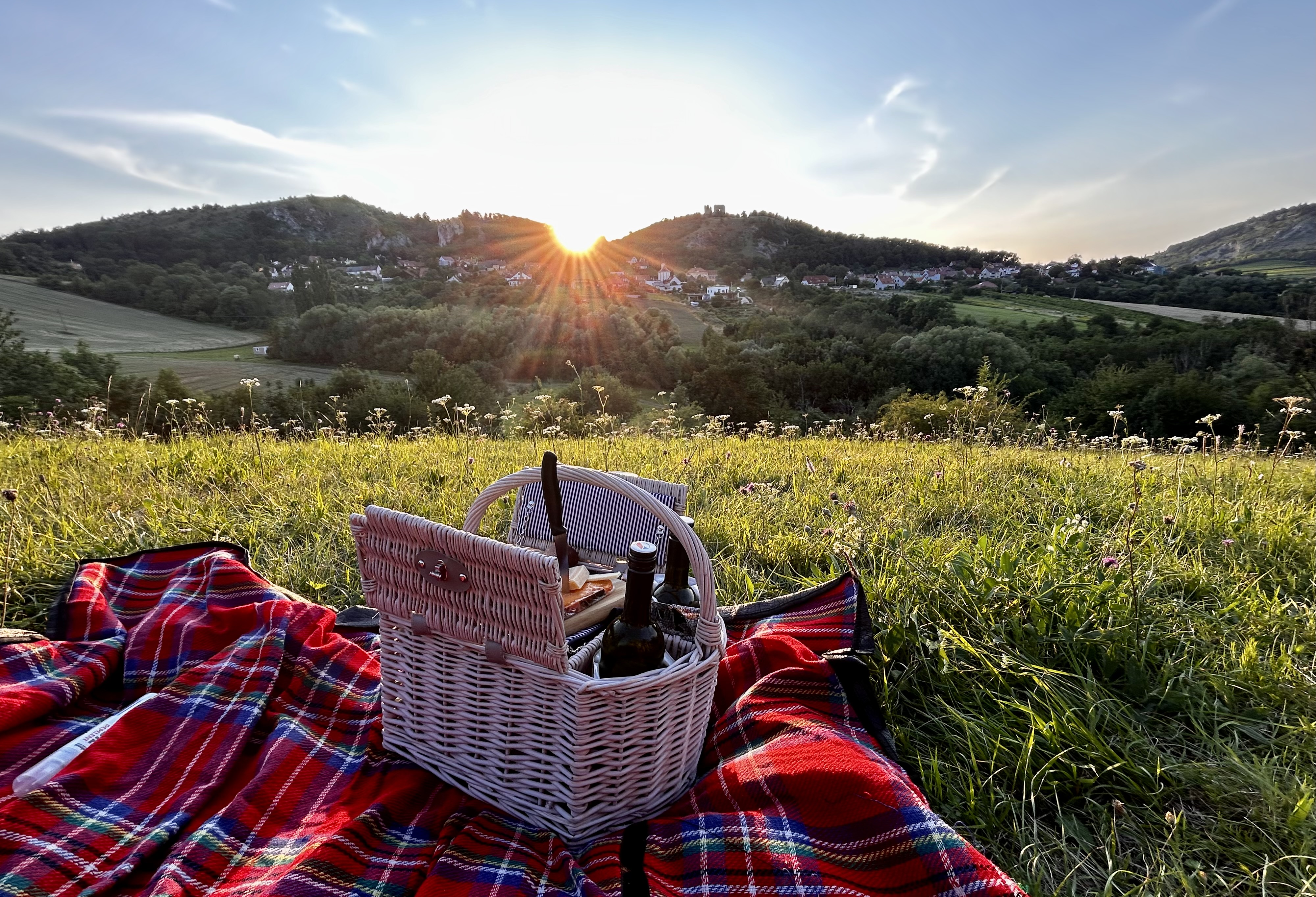 Piknik na louce pod borovicí