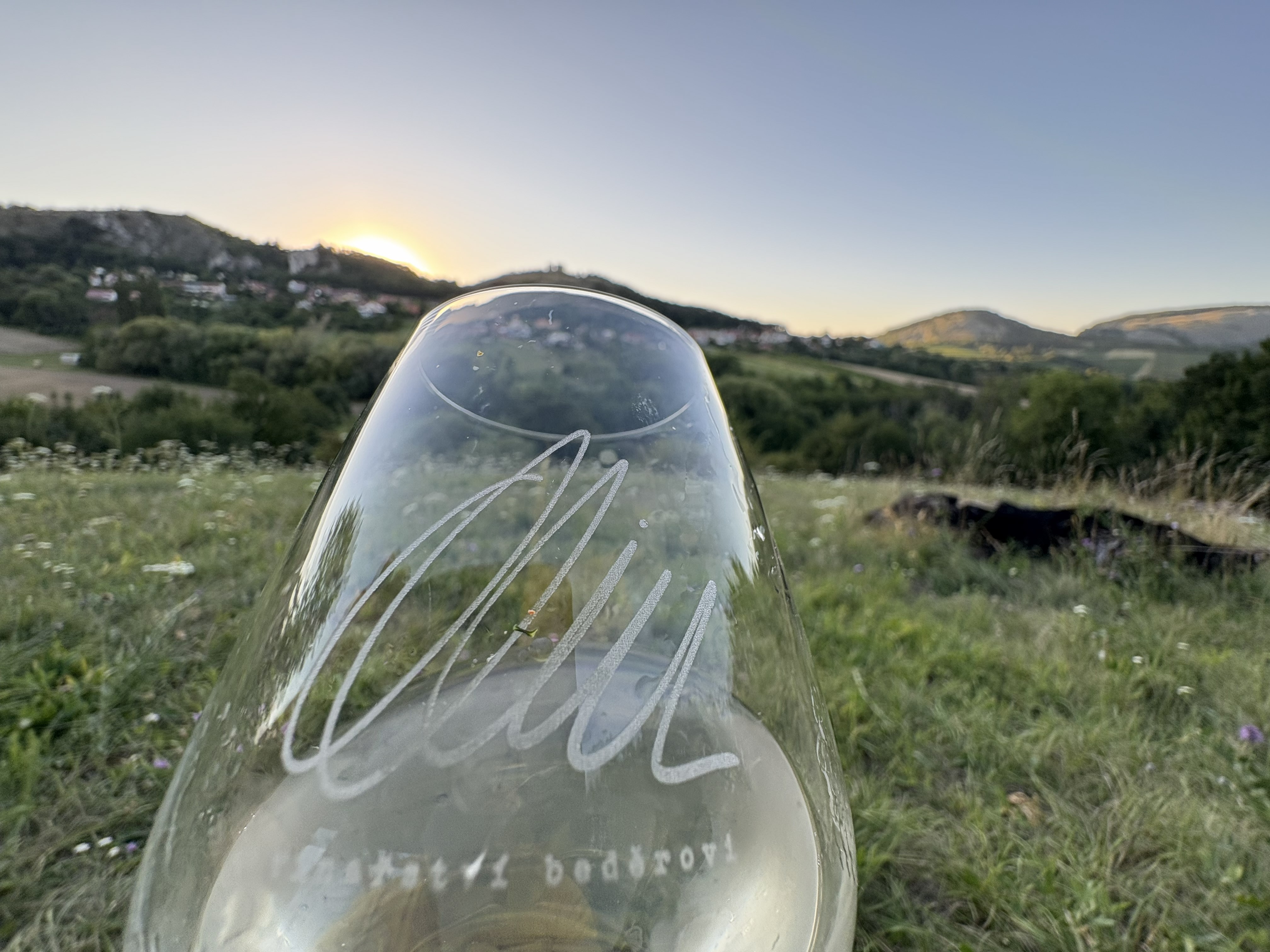 Piknik na louce pod borovicí