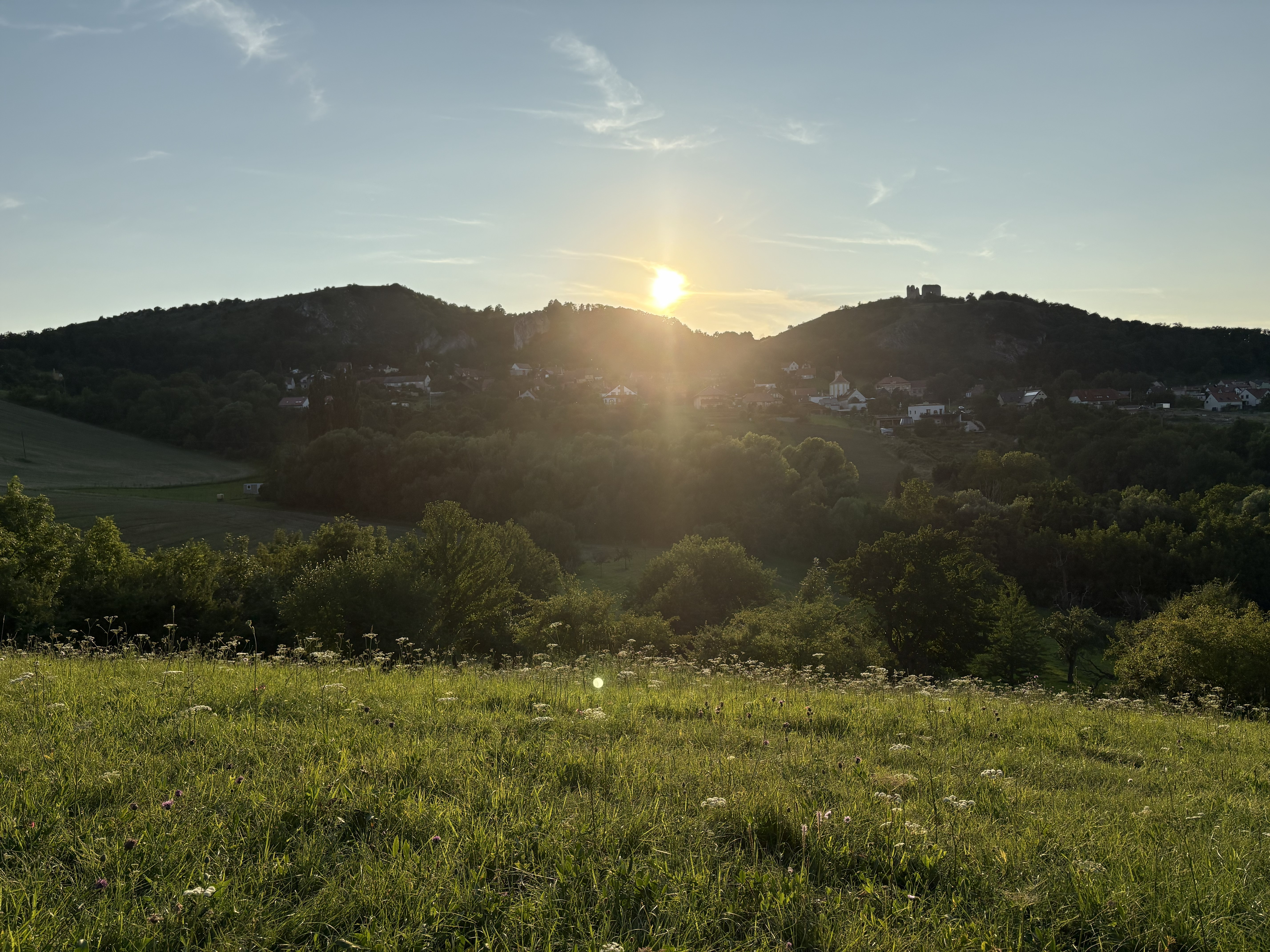 Západ slunce na louce pod borovicí